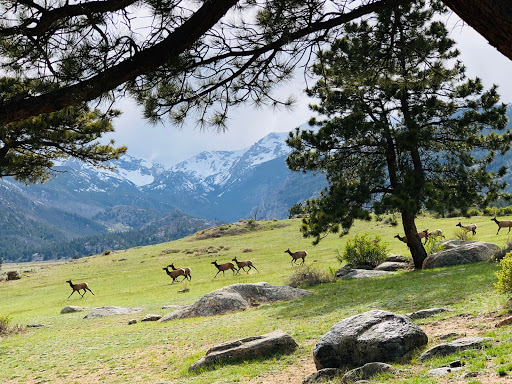 National Park «Rocky Mountain National Park», reviews and photos