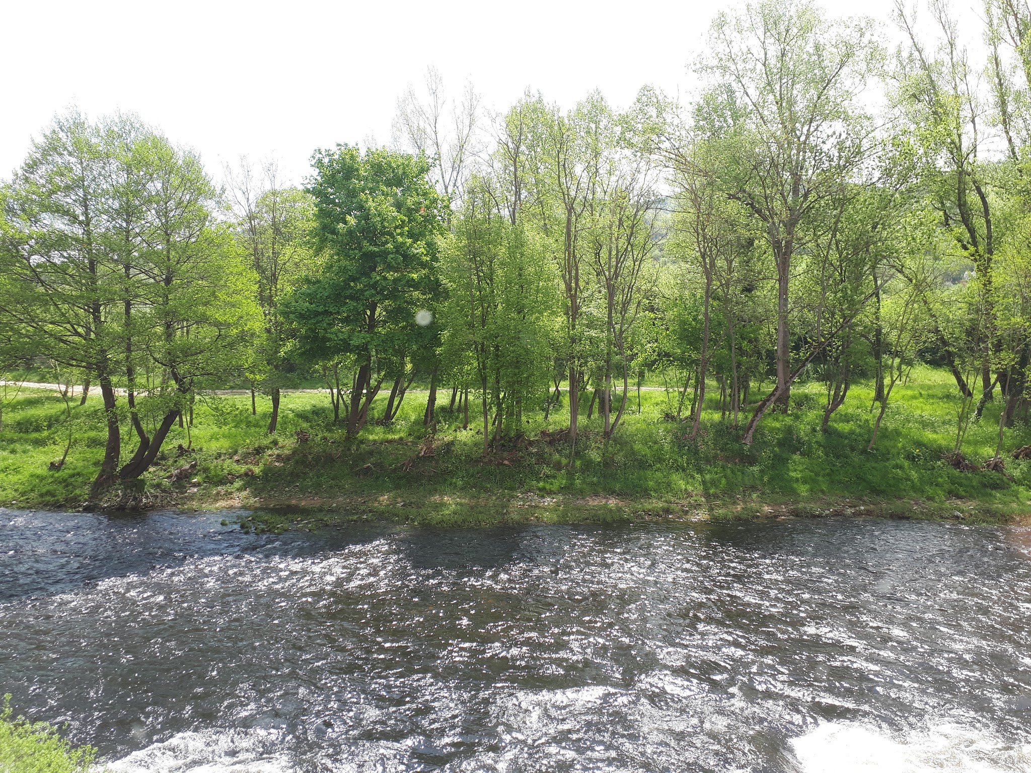 Photo n° 1 de l'avis de Sur.e fait le 29/04/2018 à 21:39