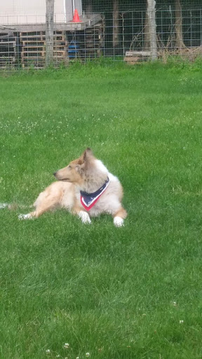 Pet Supply Store «Petco Animal Supplies», reviews and photos, 1007 Ten Rod Rd, North Kingstown, RI 02852, USA