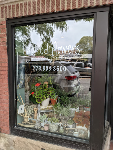 Florist «Halsted Flowers, LLC», reviews and photos, 2725 N Halsted St, Chicago, IL 60614, USA
