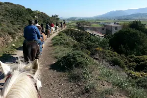 Paros Horse Riding Center - Thanasis Farm image