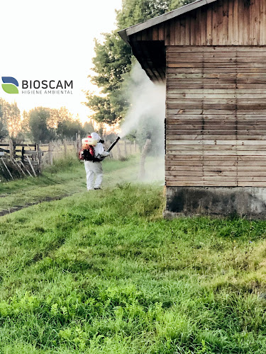 Opiniones de Bioscam en Yungay - Empresa de fumigación y control de plagas