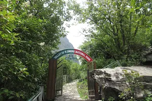 Bhyundar Valley image