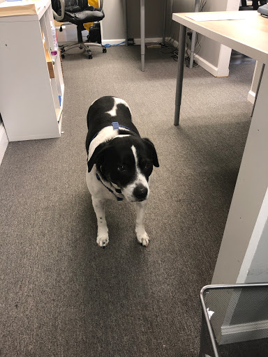 Insurance Broker «Baltimore Insurance Network», reviews and photos