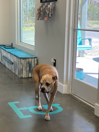 TopGun Veterinarian Service LLC image