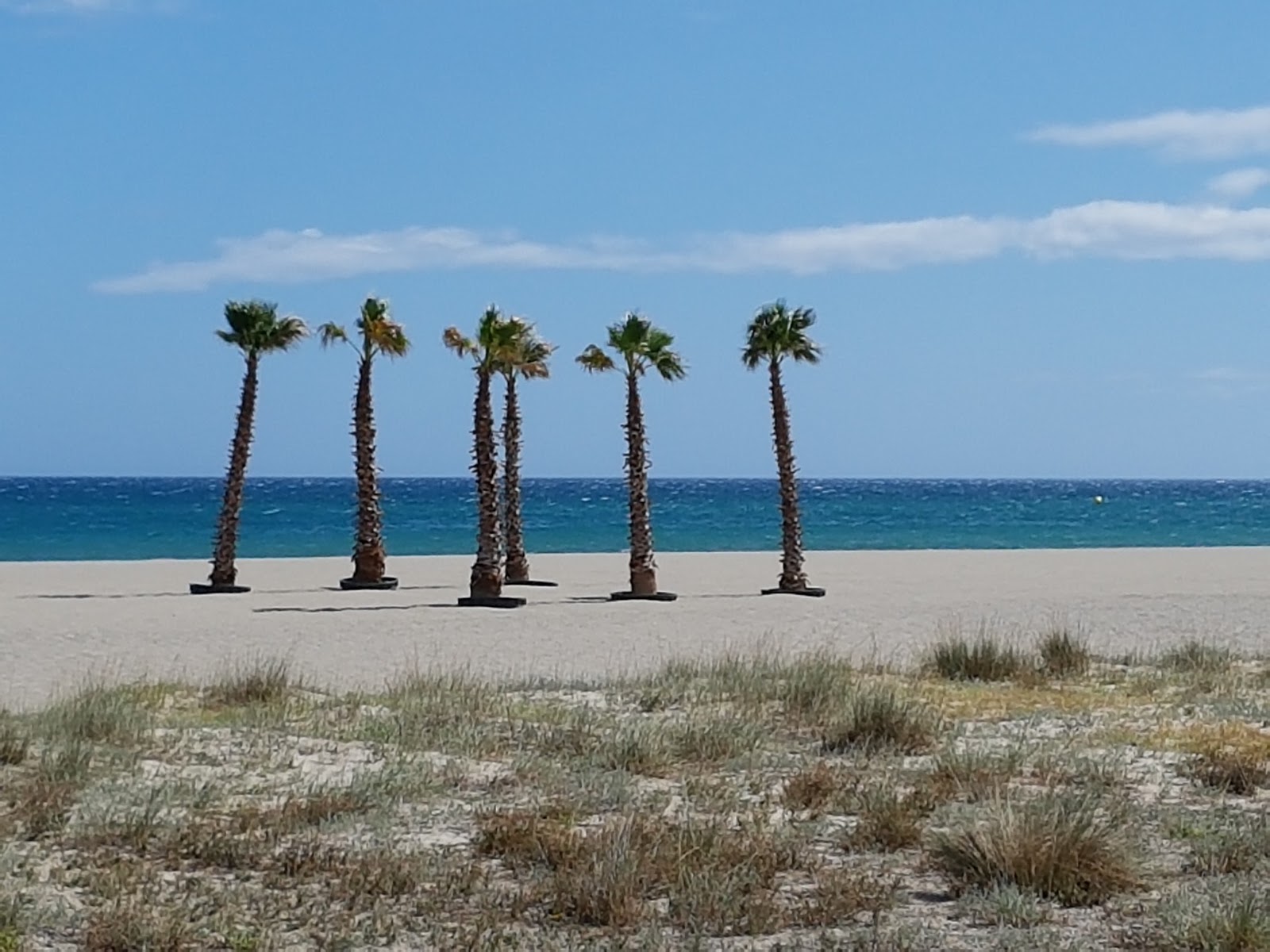 Foto af Saint-Cyprien beach II - populært sted blandt afslapningskendere