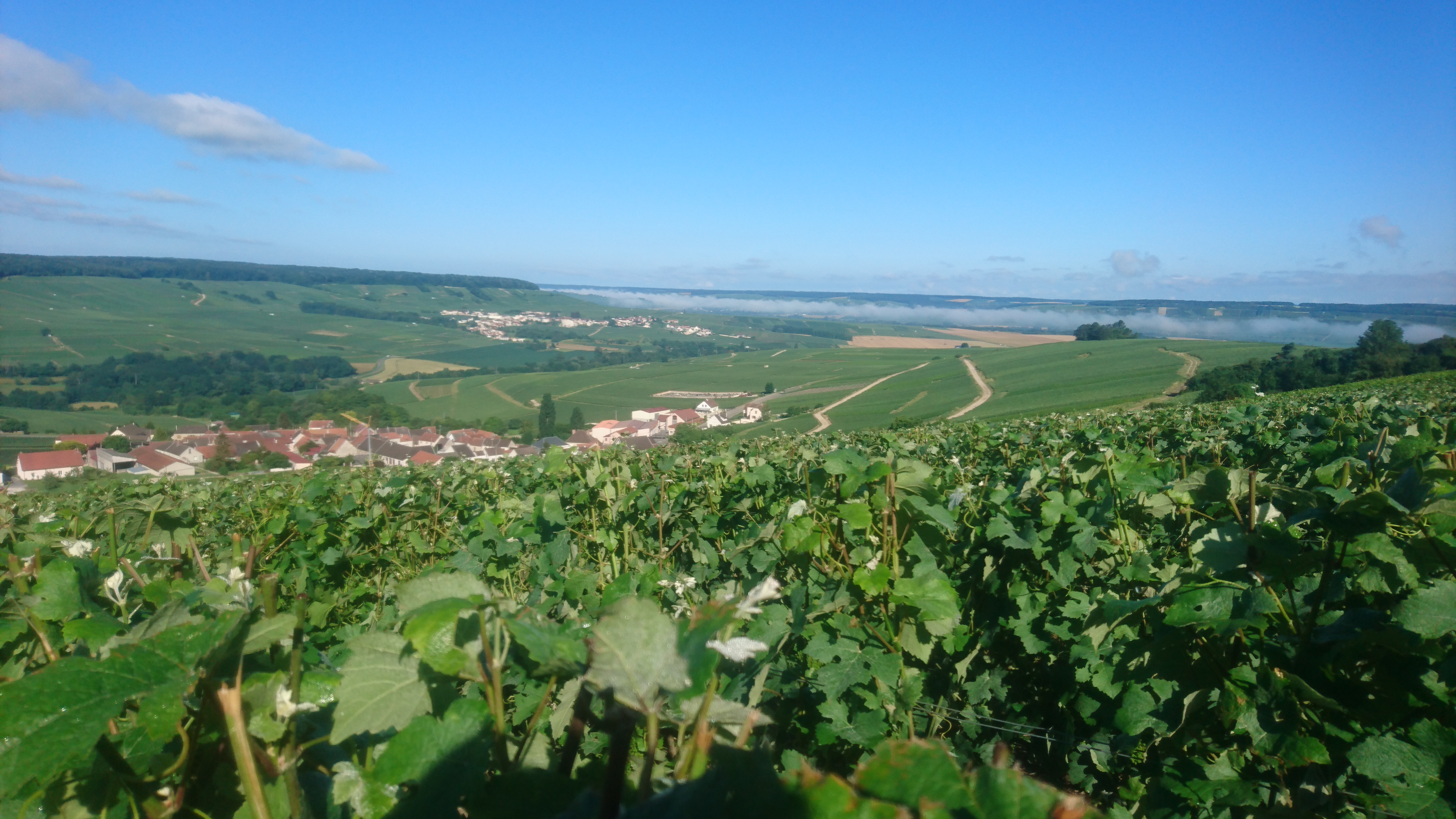 Photo n° 1 de l'avis de antoine.� fait le 29/07/2018 à 06:54