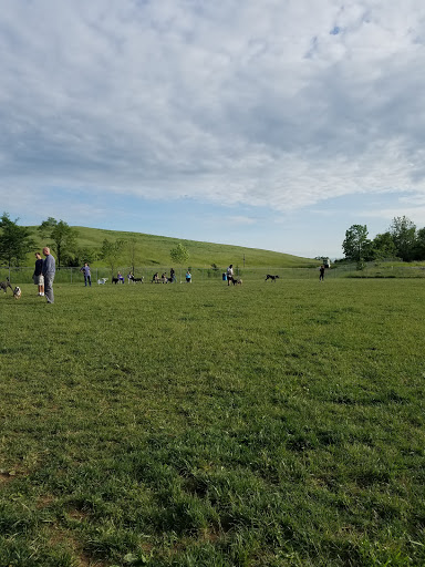Dog Park «Worthington Off Leash Dog Park», reviews and photos, 8170 Hillsborough Rd, Ellicott City, MD 21043, USA