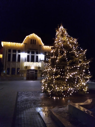 Karcag, Kossuth tér 1, 5300