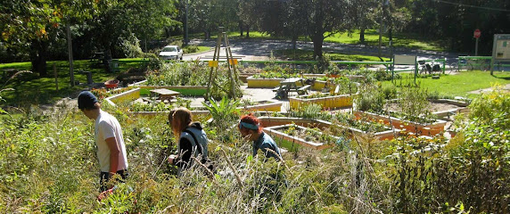 Community garden
