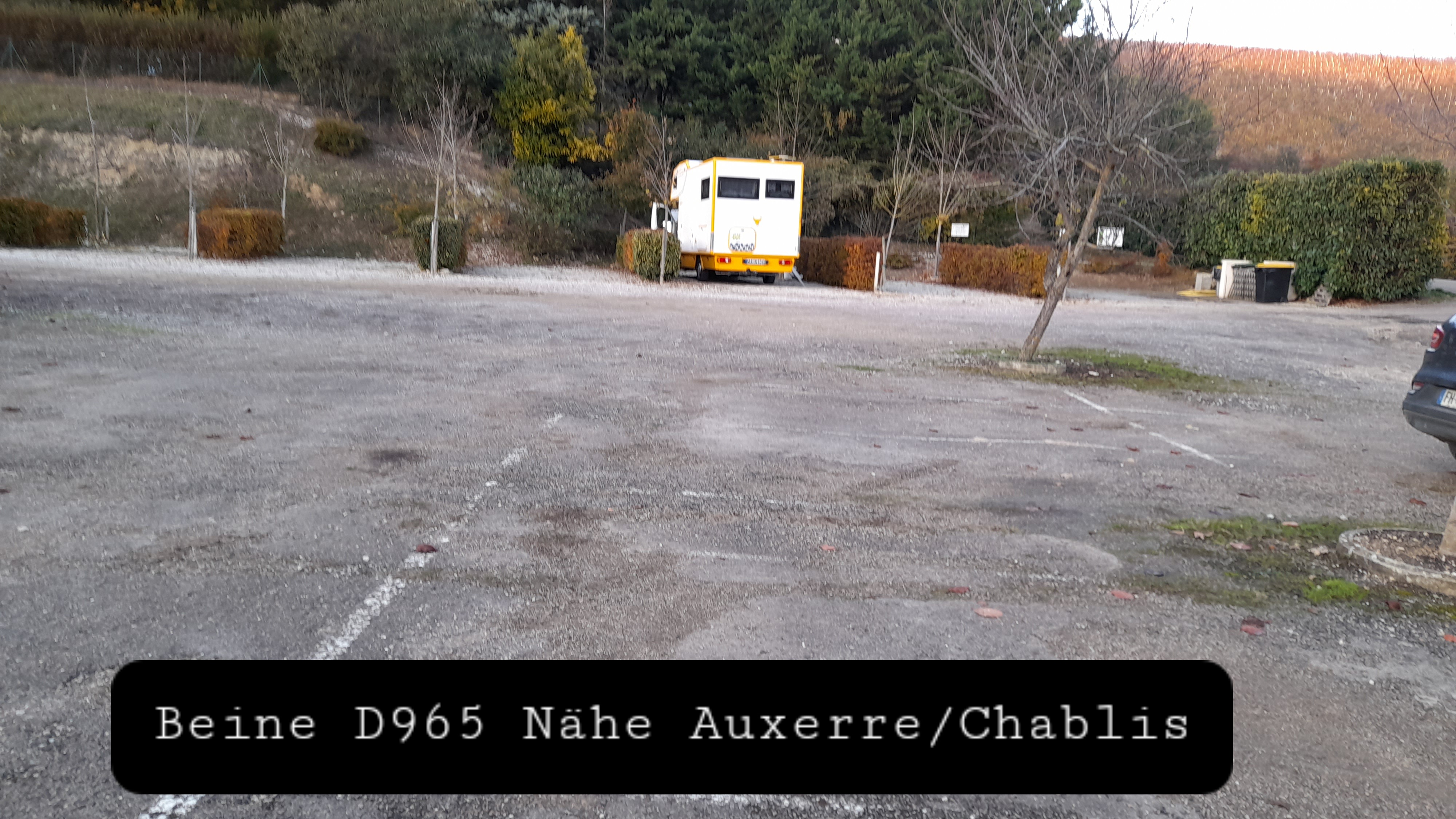Photo n° 1 de l'avis de Petra.a fait le 19/11/2021 à 13:47