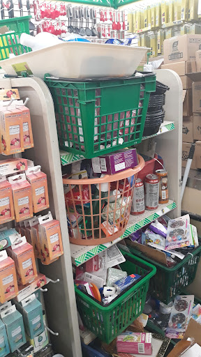Dollar Store «Dollar Tree», reviews and photos, 2847 W 8th St, Brooklyn, NY 11224, USA