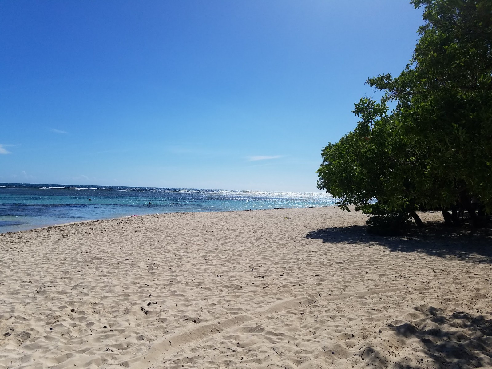 La Caobita beach'in fotoğrafı kısmen temiz temizlik seviyesi ile