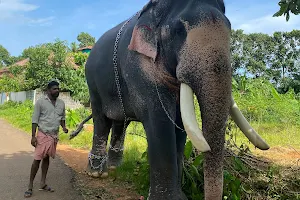 Puthuppally Elephants Official image