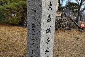Omorishiroyama Park image