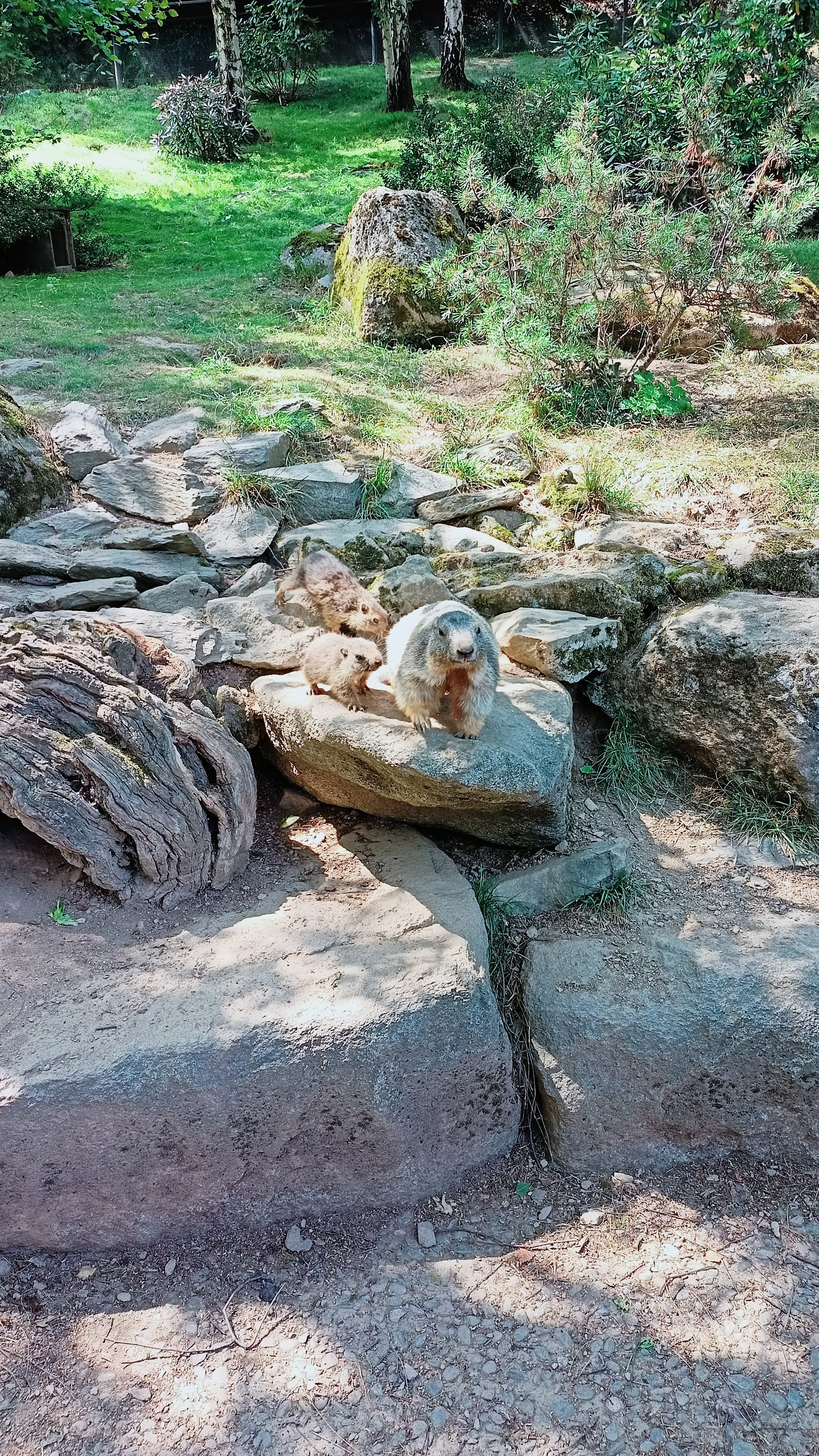 Photo n° 1 de l'avis de Tiffany.a fait le 20/08/2022 à 22:01