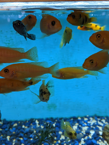 Pet Supply Store «Pet Valu», reviews and photos, 541 S Breiel Blvd, Middletown, OH 45044, USA