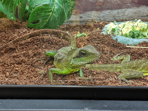 Pet Supply Store «Petco Animal Supplies», reviews and photos, 11331 W Broad St #151, Glen Allen, VA 23060, USA