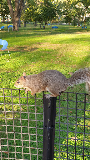 National Park «Castle Clinton National Monument», reviews and photos, Battery Park, New York, NY 10004, USA