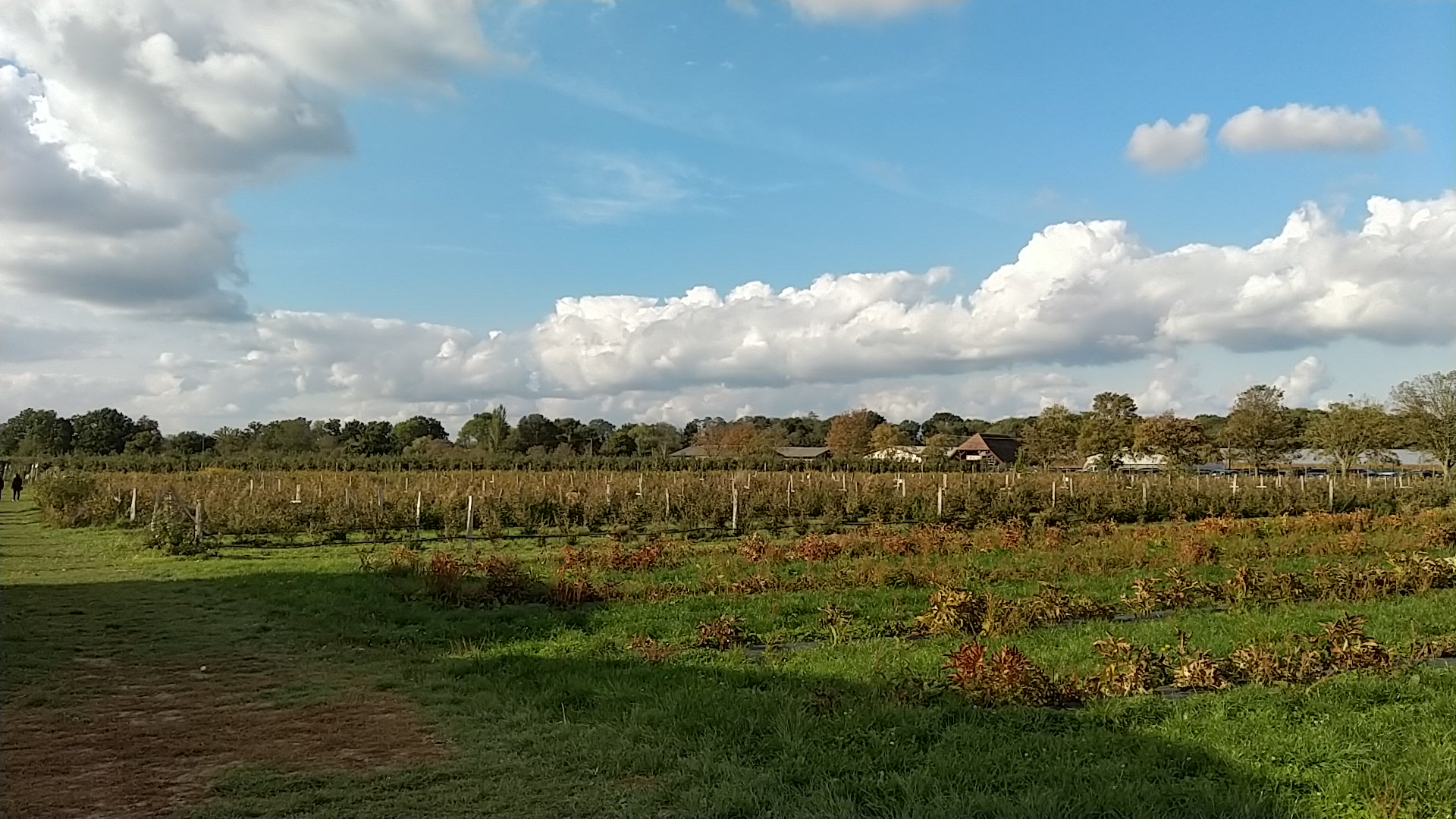 Photo n° 5 de l'avis de 3D.A fait le 18/10/2020 à 14:14