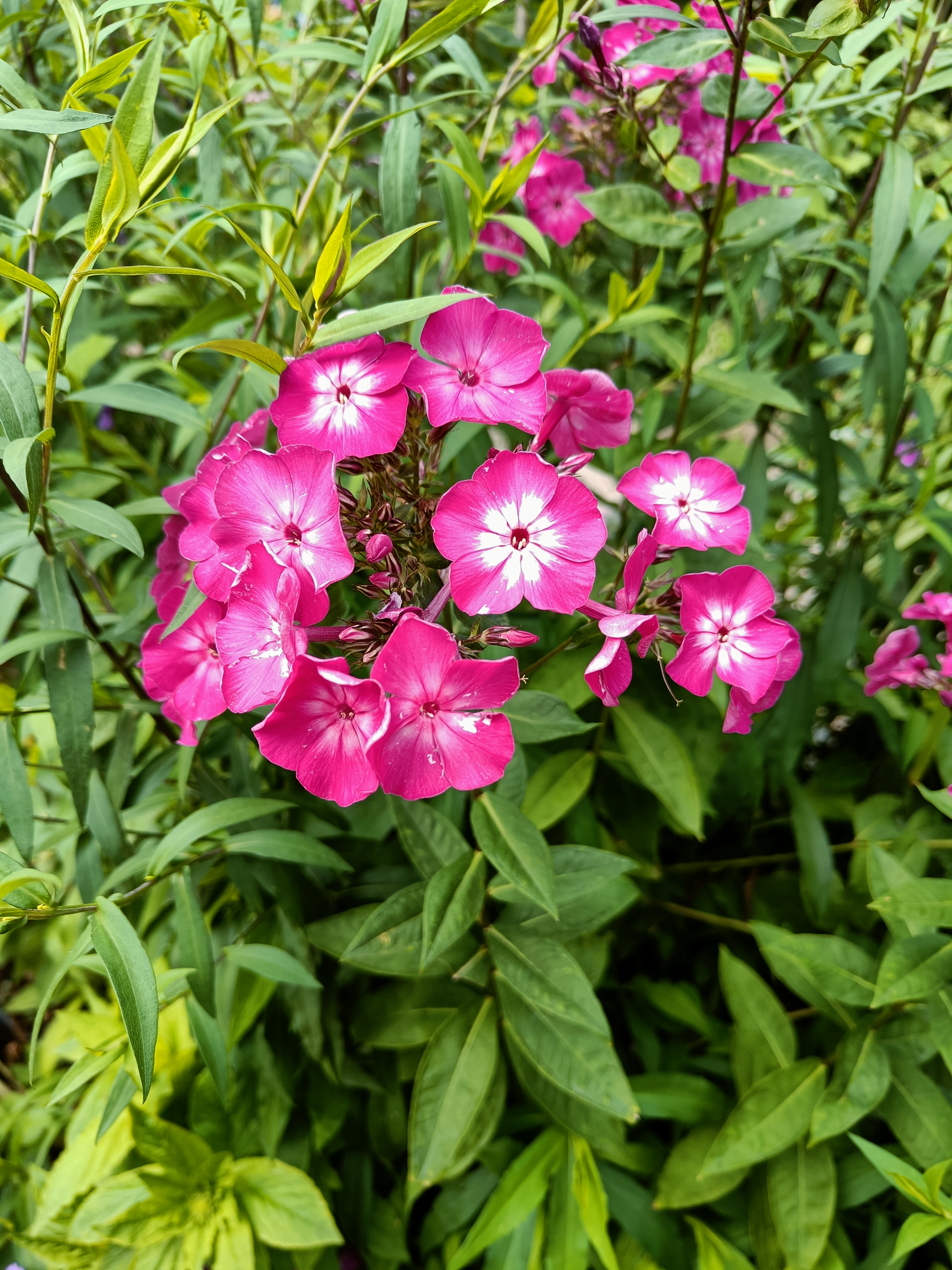 Photo n° 10 de l'avis de Mathéo.a fait le 07/07/2023 à 08:27