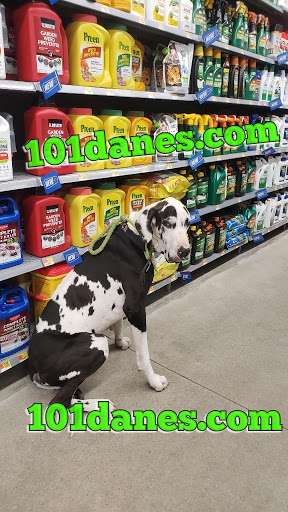 Department Store «Walmart Supercenter», reviews and photos, 1660 Tappahannock Blvd, Tappahannock, VA 22560, USA