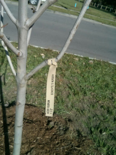 Park «Balduck Park», reviews and photos, 5271 Canyon St, Detroit, MI 48236, USA