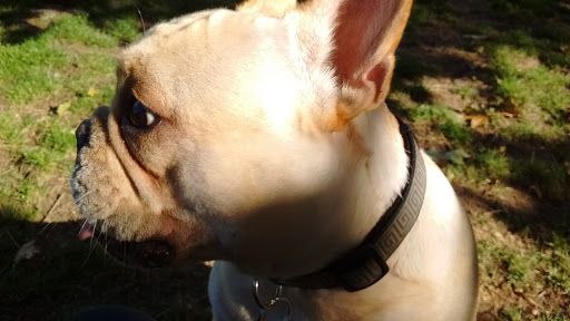 Park «Gabriel Park», reviews and photos, SW 45th Ave & Vermont Street, Portland, OR 97219, USA