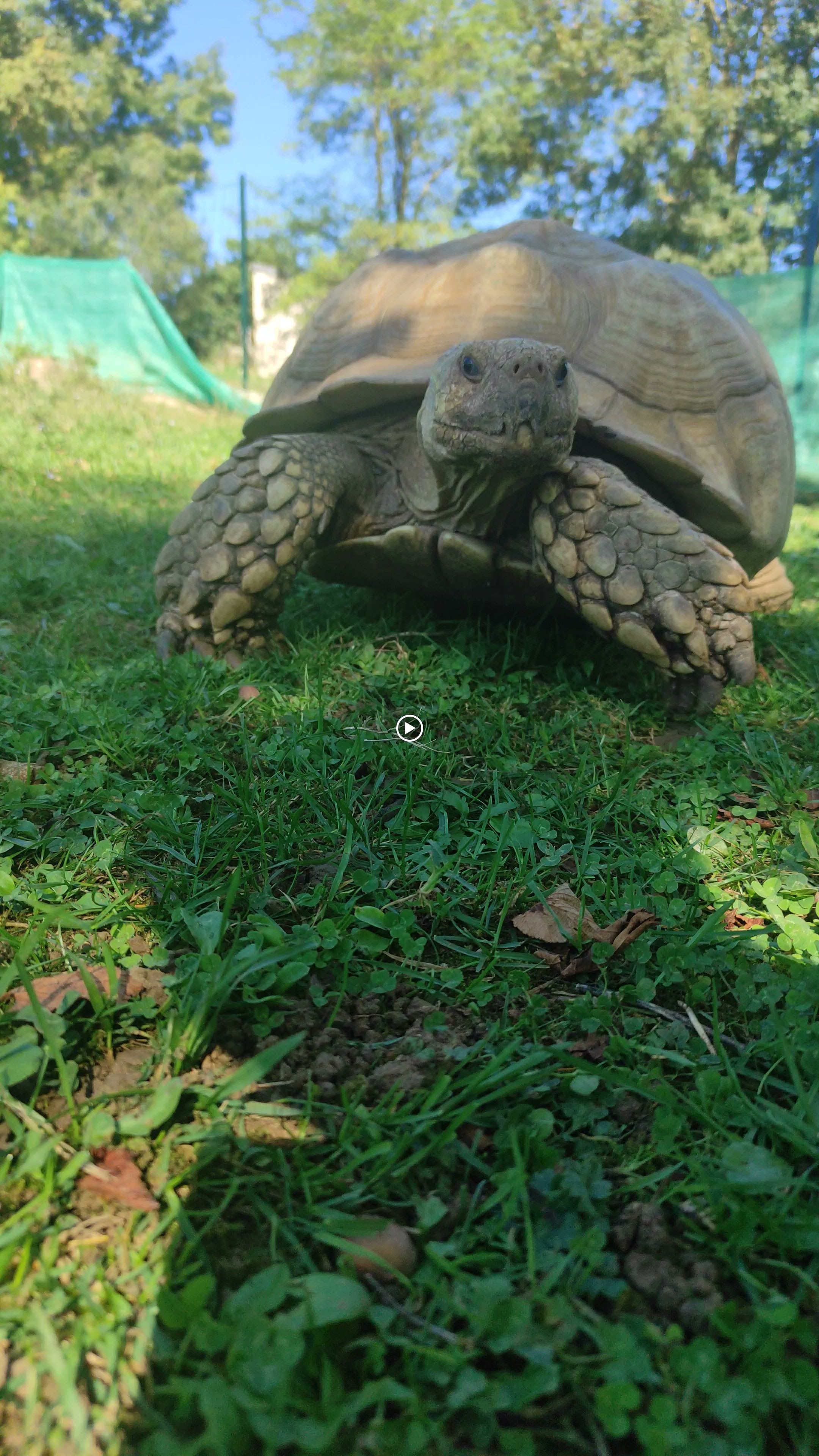 Photo n° 1 de l'avis de Maud.a fait le 01/10/2023 à 05:17