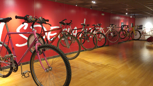Bicycle Store «Plaine And Son», reviews and photos, 1816 State St, Schenectady, NY 12304, USA