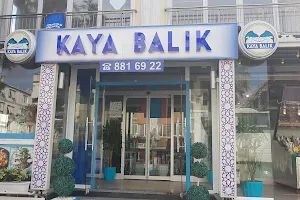 Kaya Balik Restorant image
