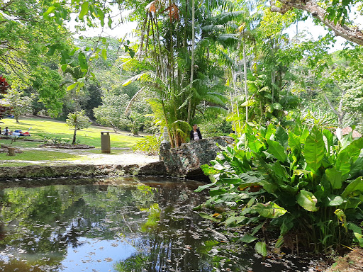 Jardines botanicos en Panamá