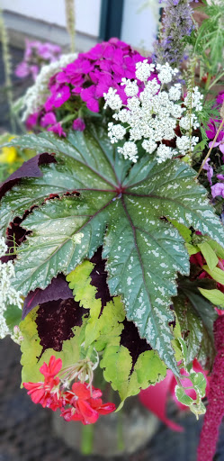 Florist «St. Clair Greenhouses & Florist», reviews and photos, 7043 Big Hand Rd, St Clair, MI 48079, USA