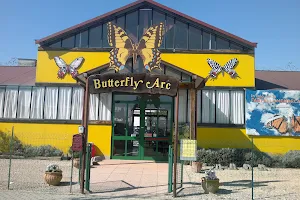 Butterfly House and Fairy Wood Butterfly Arc image