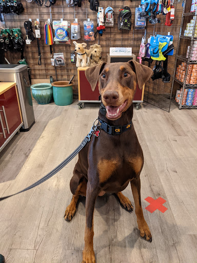 Pet Supply Store «Wally Pets», reviews and photos, 4411 Wallingford Ave N, Seattle, WA 98103, USA