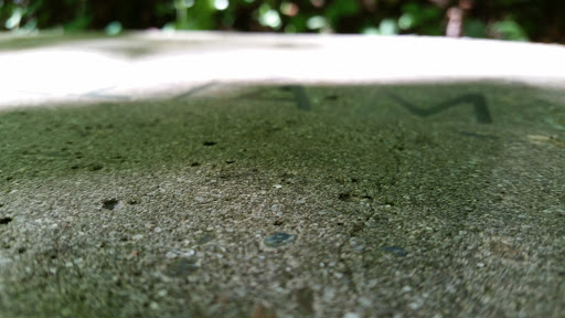 State Park «Willamette Stone State Heritage Site», reviews and photos, 253 NW Skyline Blvd, Portland, OR 97210, USA