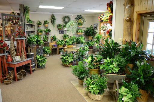 Florist «Bud & Bloom Florist & Gifts», reviews and photos, 22 E Main St, Mooresville, IN 46158, USA