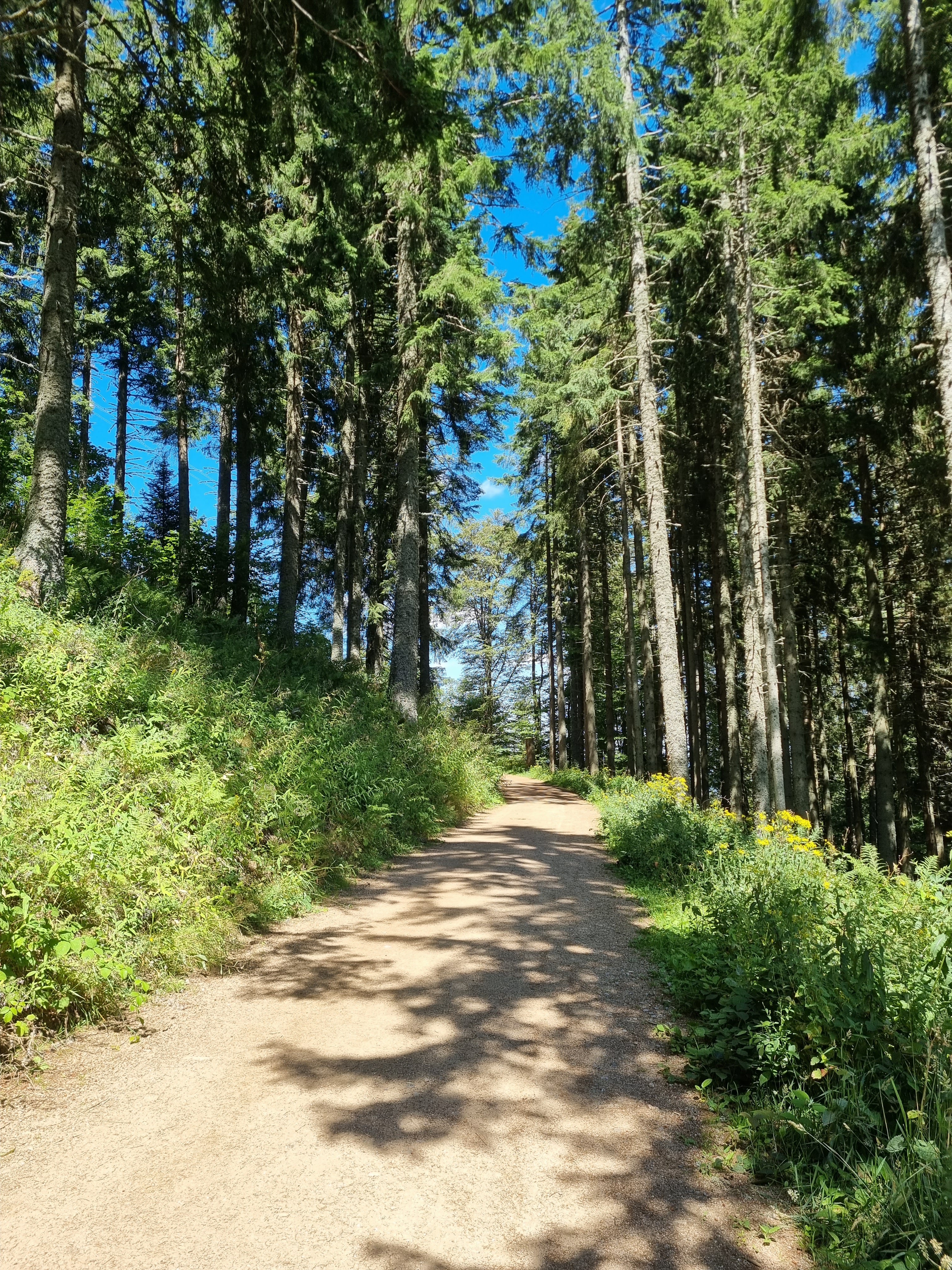 Photo n° 6 de l'avis de Lucía.o fait le 18/08/2023 à 15:53