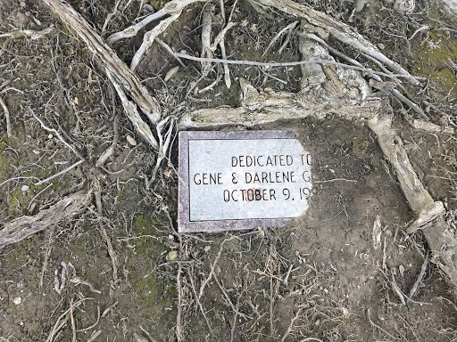 Golf Driving Range «Albany Golf Club», reviews and photos, 1100 Golf Course Dr, Albany, IN 47320, USA