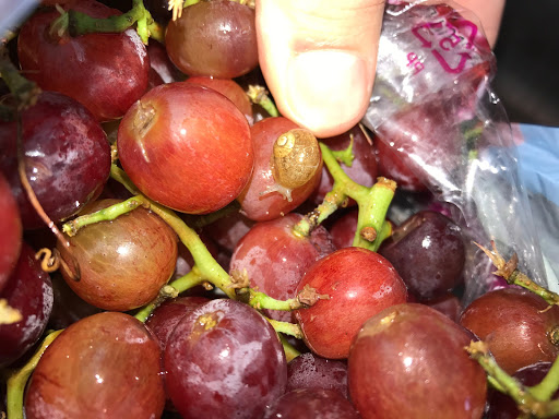 Supermarket «Fresh Madison Market», reviews and photos, 703 University Ave, Madison, WI 53715, USA