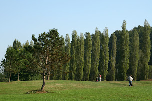 Photo n°12 de Golf de Salies de Béarn à Salies-de-Béarn ()