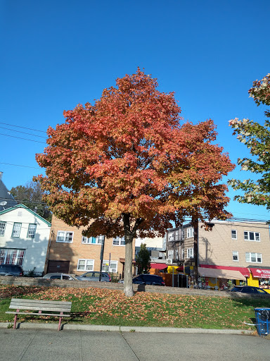 Supermarket «Stop & Shop», reviews and photos, 232 Central Ave, Jersey City, NJ 07306, USA