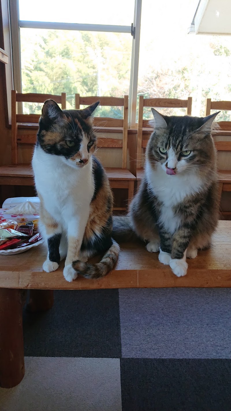 椿窯 猫カフェ山猫軒 山口県光市室積村 カフェ 喫茶 グルコミ