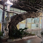 Photo n°2 de l'avis de Nello.e fait le 23/09/2022 à 12:50 sur le  Ristorante Anfiteatro à Pompei