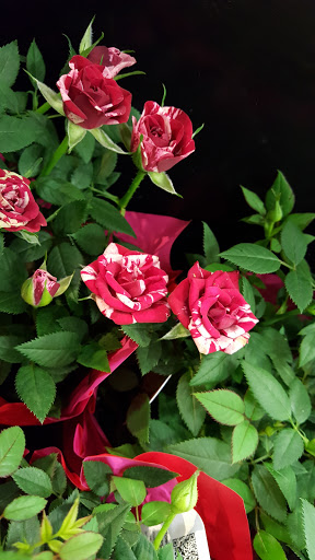 Country Club «Westlake Golf & Country Club», reviews and photos, 1 Pine Lake Cir, Jackson, NJ 08527, USA