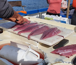 Cocos Sportfishing Ensenada photo