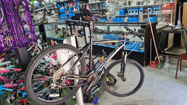 Padro Bikes - Tienda de bicicletas