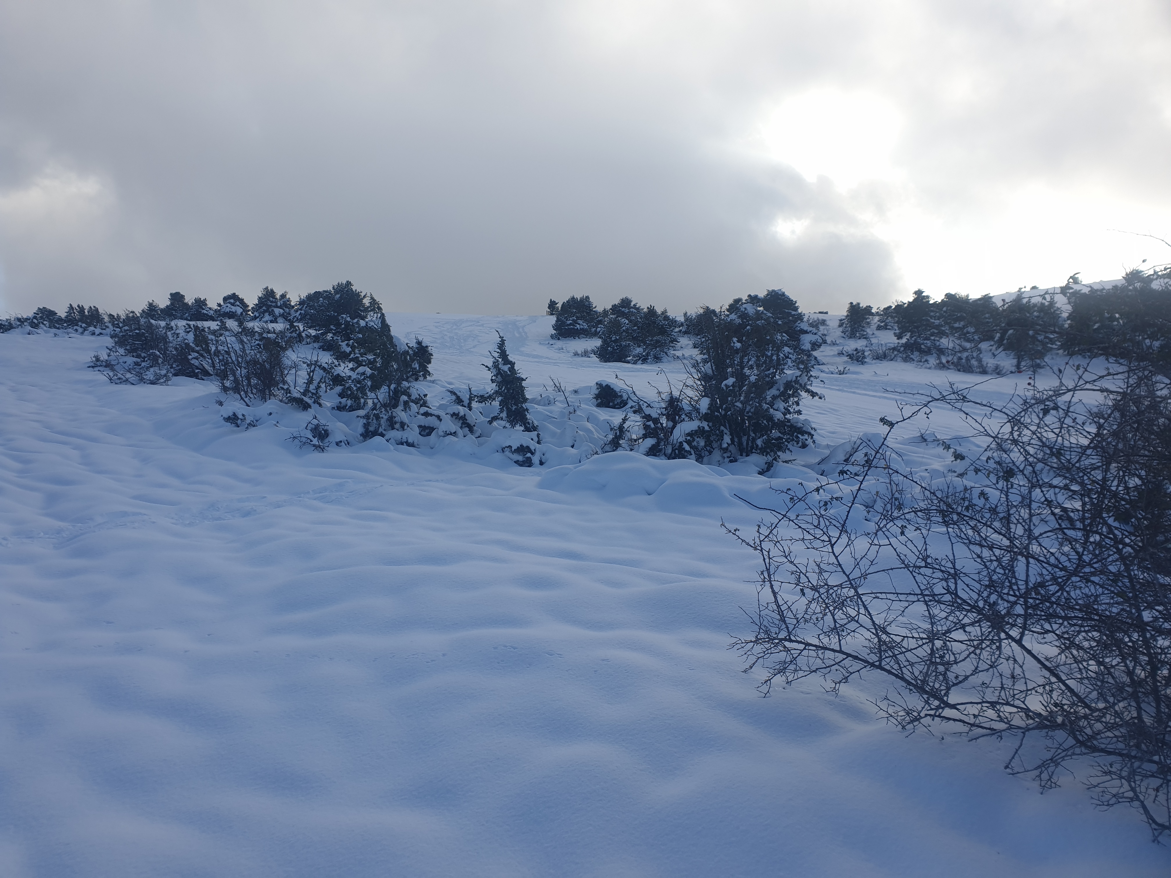 Photo n° 3 de l'avis de dominique.R fait le 17/11/2019 à 17:24