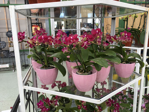 Natural Foods Store «Edens Natural Market», reviews and photos, 16328 Lee Hwy, Gainesville, VA 20155, USA