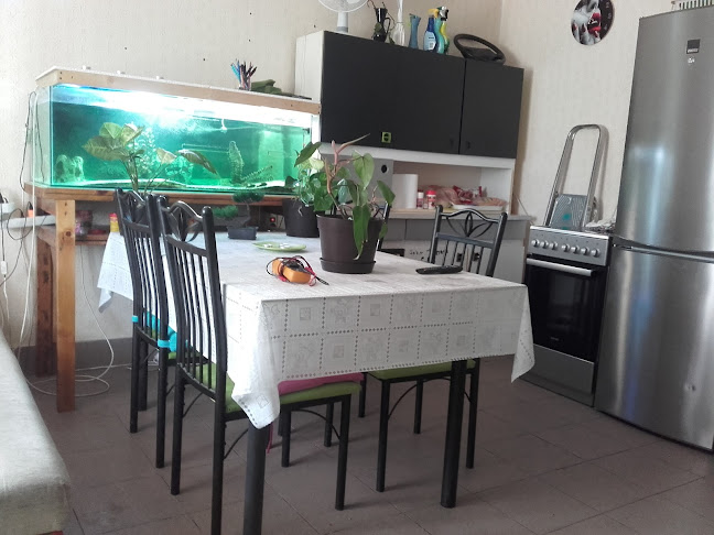 Opinii despre Sportpálya în Nyúl - Szórakozóhely